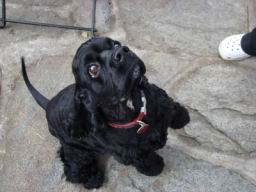 Resize of DSC05814.JPG